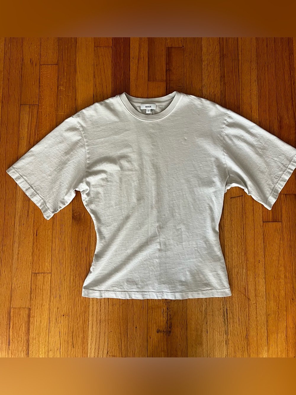 NWOT Agolde Storey Tee in Bone